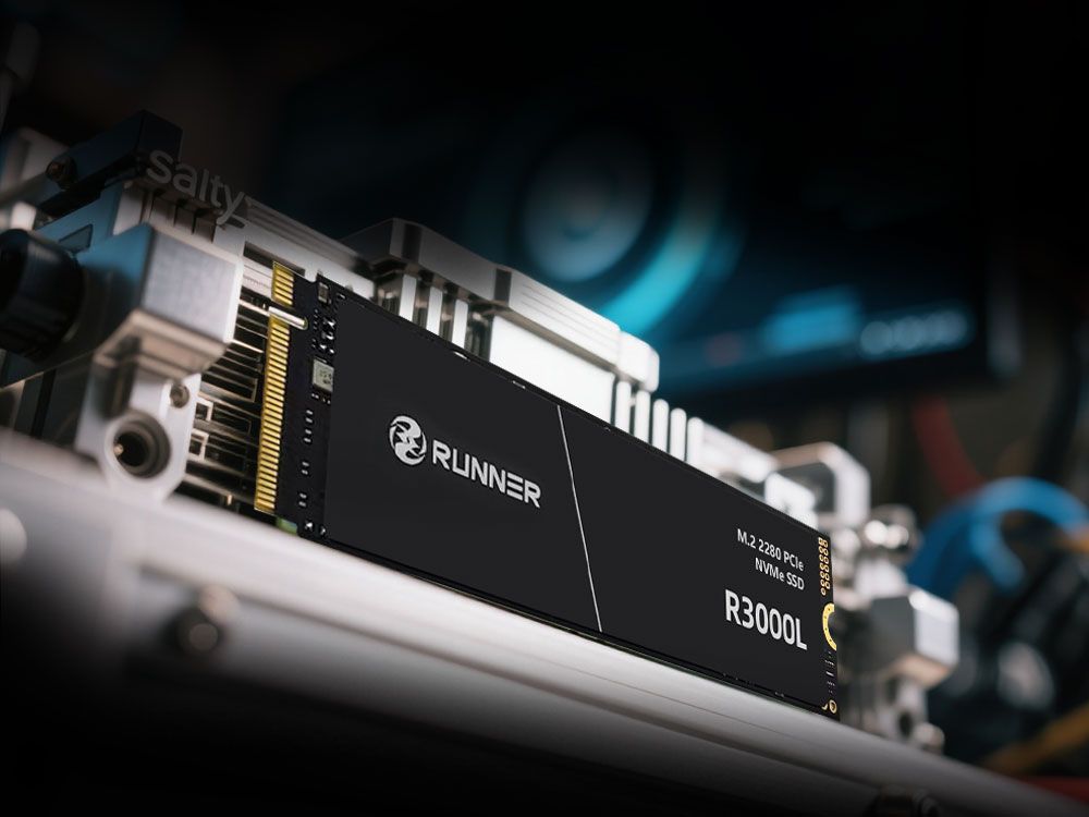 RUNNER R3000L M.2 PCIe Gen3x4 2280 NVMe高速固态硬盘-
